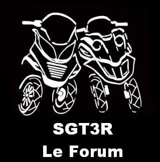 Le logo de SGT3R, le forum sur les scooters trois roues